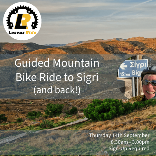 mountain-bike-sigri