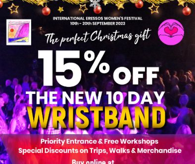 IEWF_xmas-bannerB