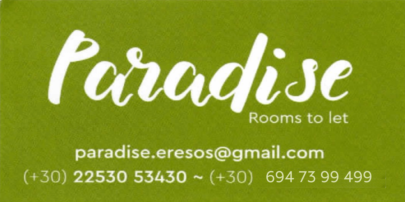Paradise Studios