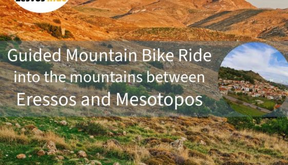 guided-bike-ride-eressos-mesotopos