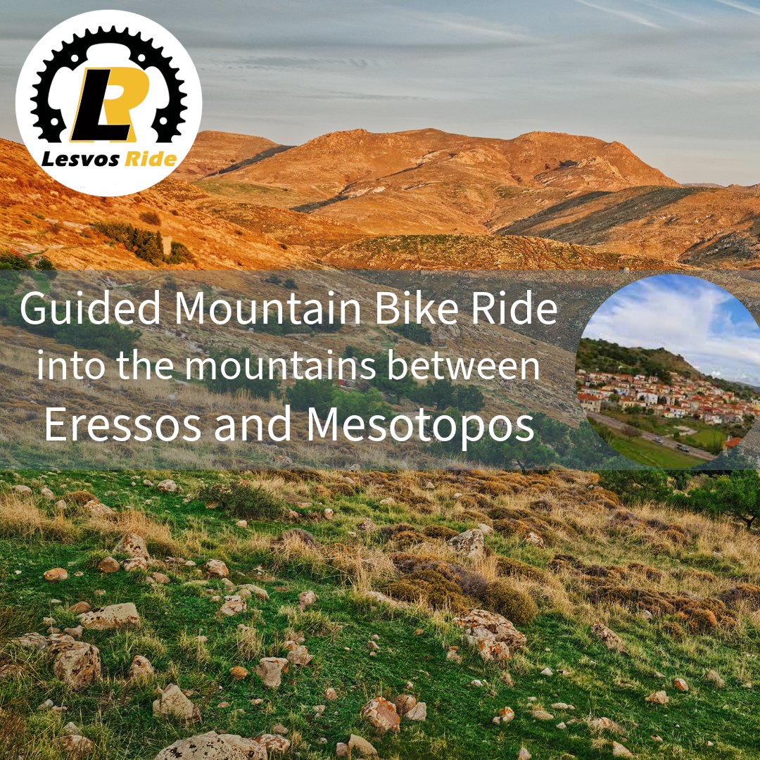 guided-bike-ride-eressos-mesotopos