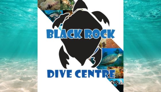 black rock snorkel trip-min